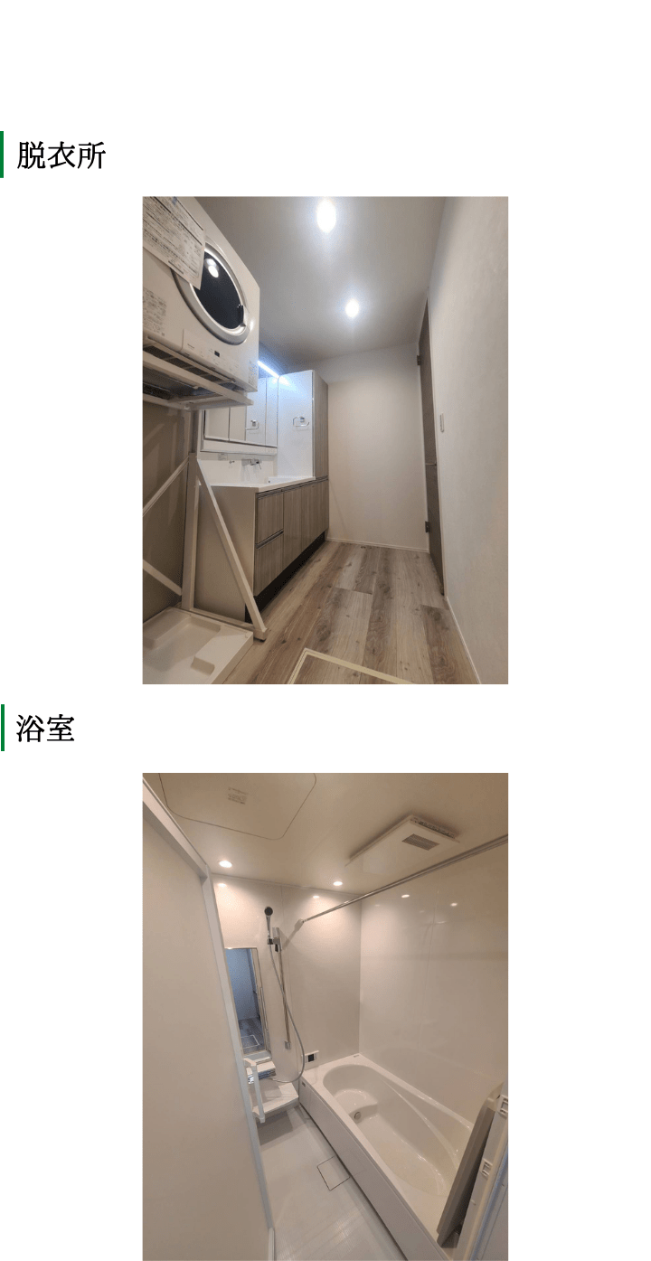 ステップハウス　新築　実績